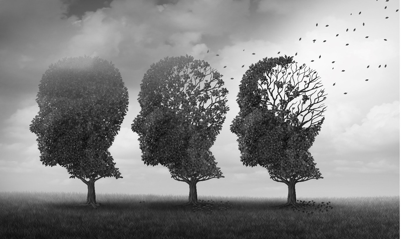 Learning to stop: two types of neurons cooperate to adjust behaviour