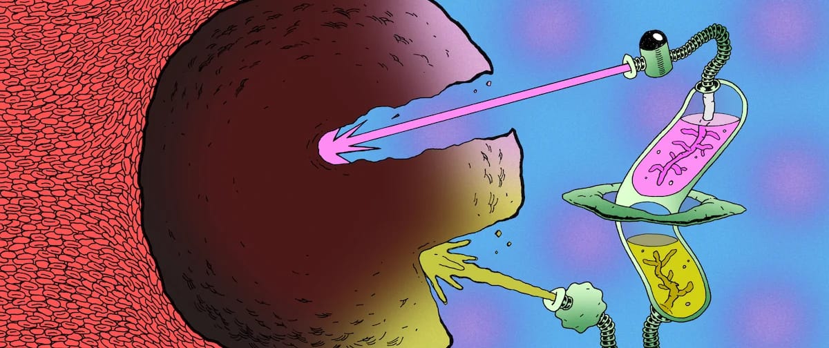 Yoann Vogt — 2nd Edition (Dec 2021) · 2021