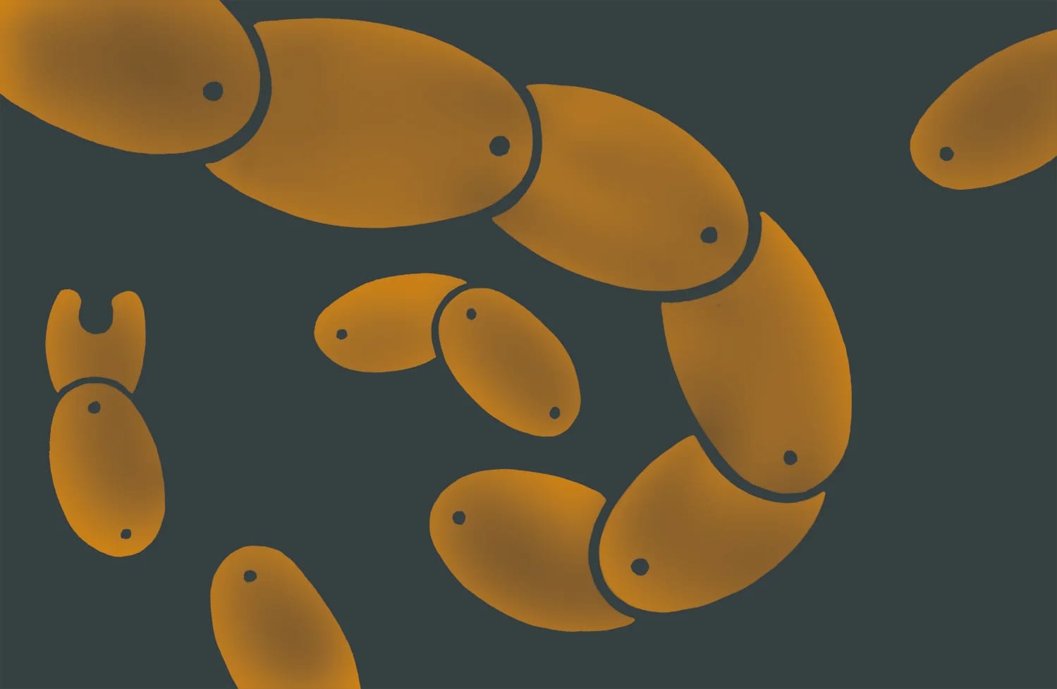 Irvin Vaucher — 1st Edition (Jan 2021) · 2021