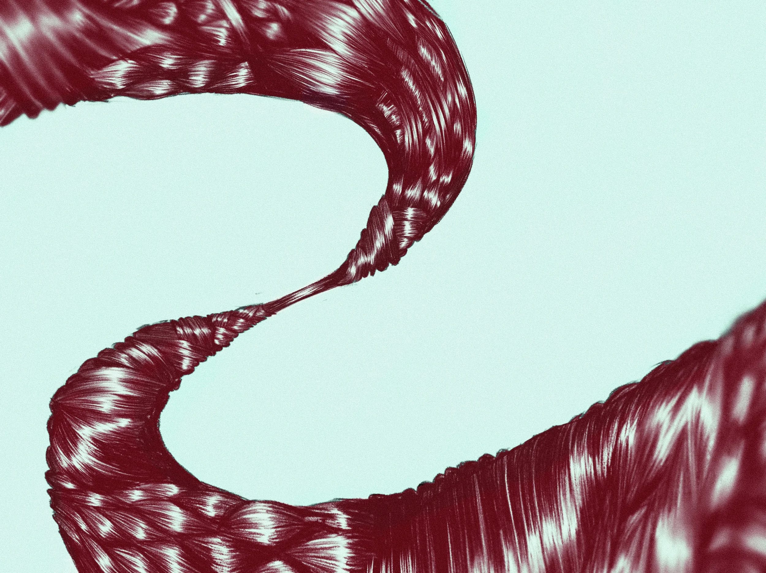 Margot — 1st Edition (Jan 2021) · 2021