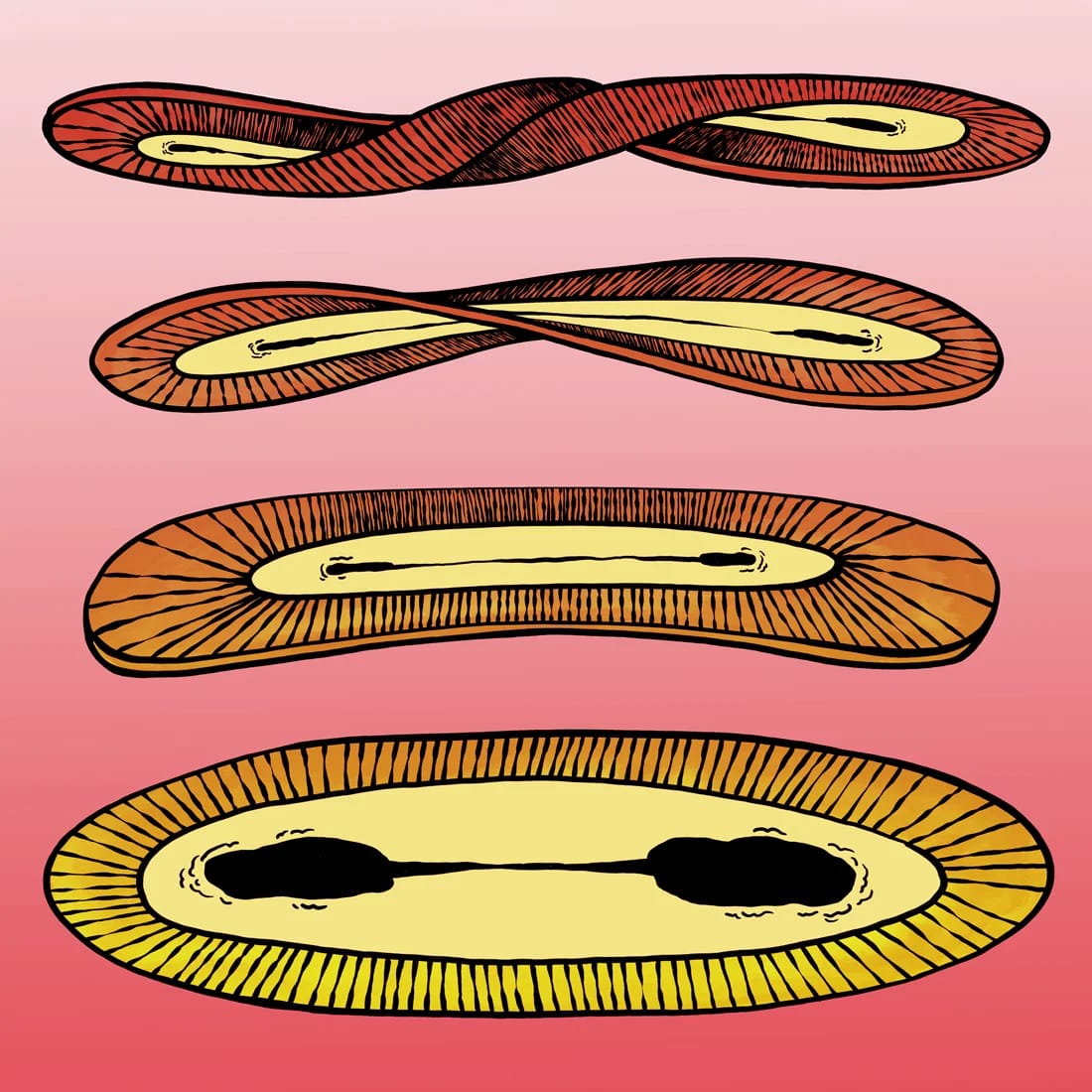 Melisa Oezkul — 1st Edition (Jan 2021) · 2021