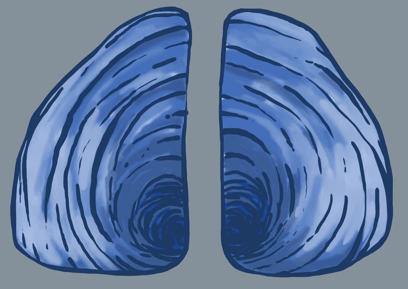 Nora Olivares — 1st Edition (Jan 2021) · 2021