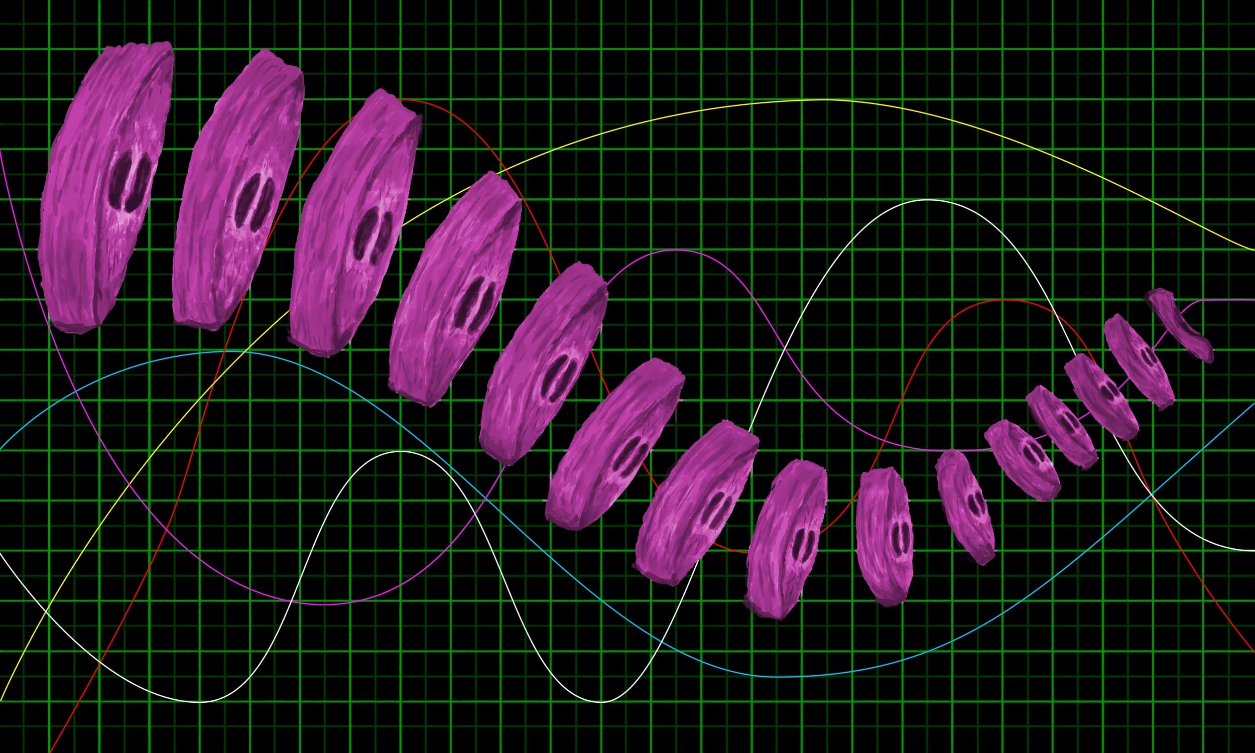 Touka Fatemi — 1st Edition (Jan 2021) · 2021