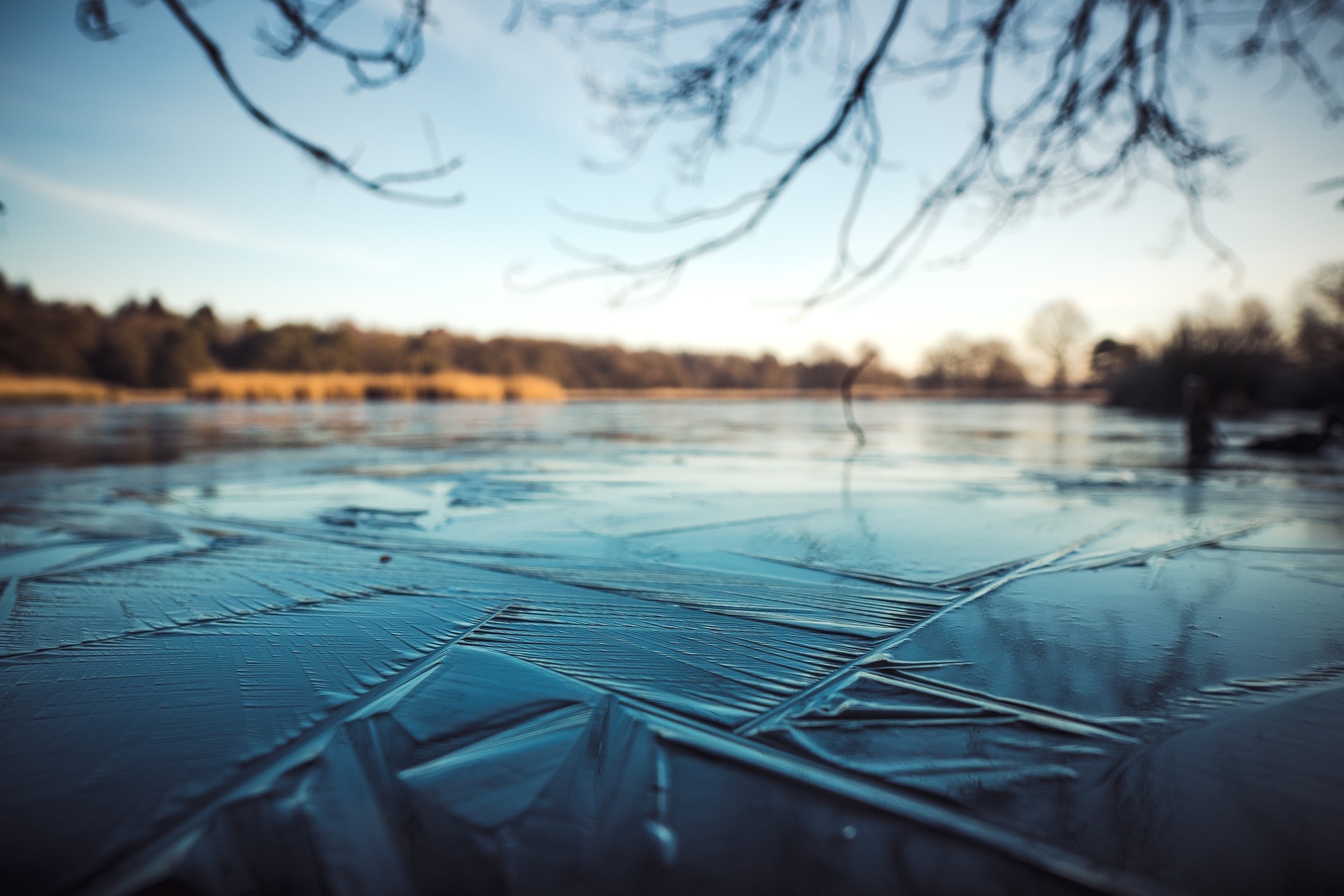 A world without lake ice?