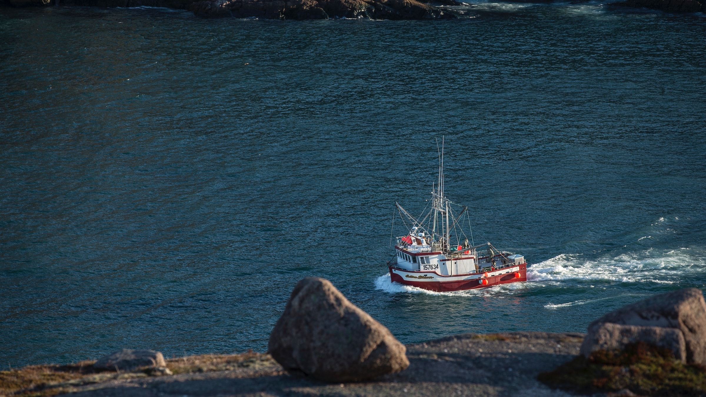 Salmon evolve quickly as a response to intense harvesting of their prey
