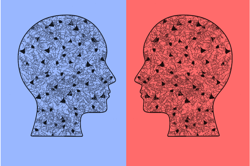 Can we use a magnet to see brain inflammation? 