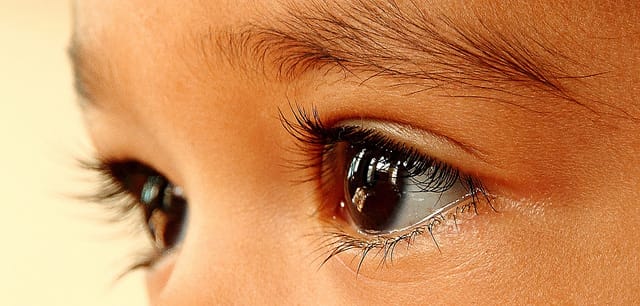 A novel treatment for inherited blinding eye diseases