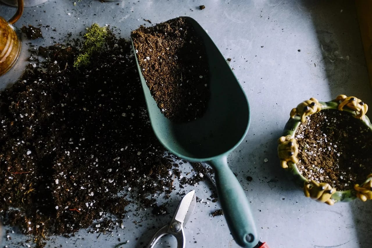 A soil bacterium unmasks a human enzyme