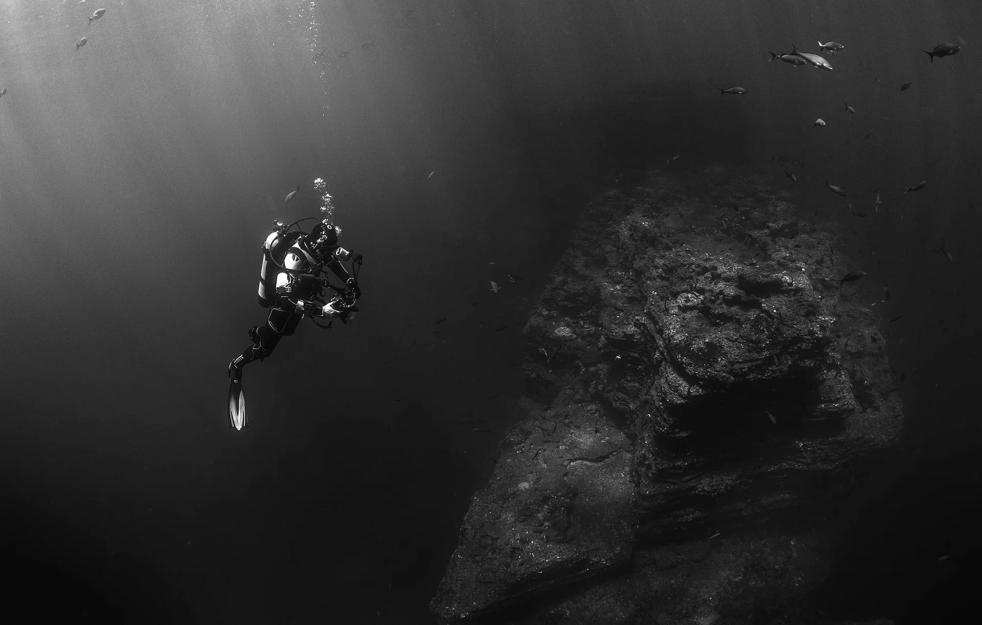 Bringing 100 million-year-old marine microbes back to life