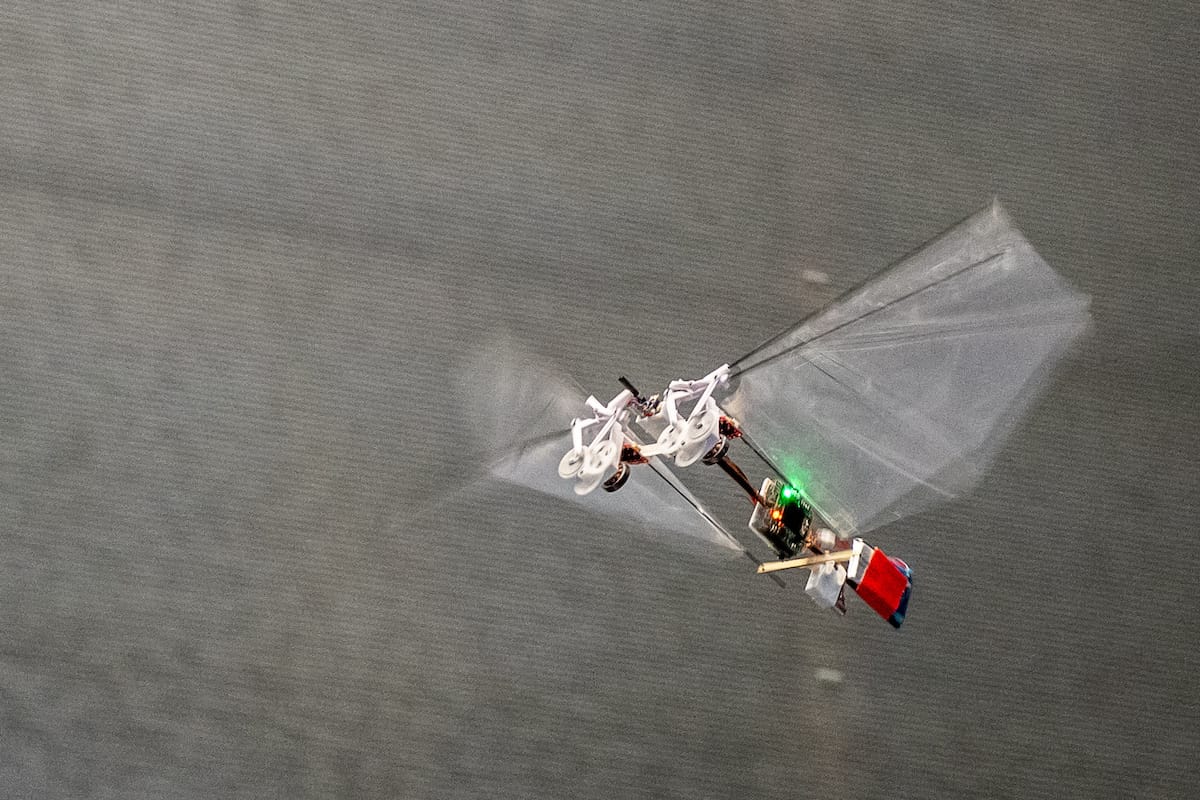 Can robots teach us about animal flight?