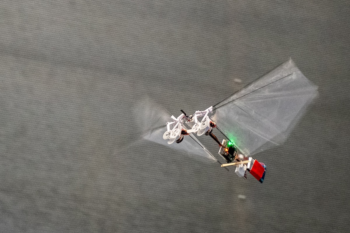 Can robots teach us about animal flight?