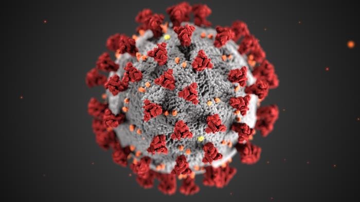 Coronaviruses: Contagious Beasts and Where to Find Them