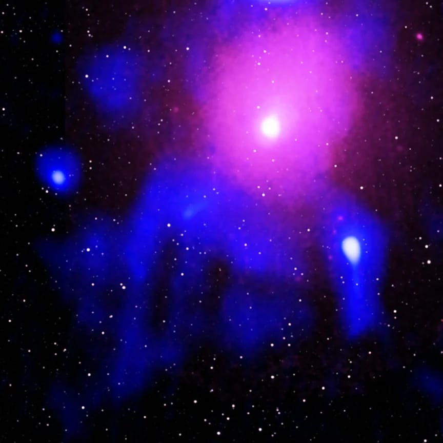 Digging up a dinosaur in a galaxy cluster