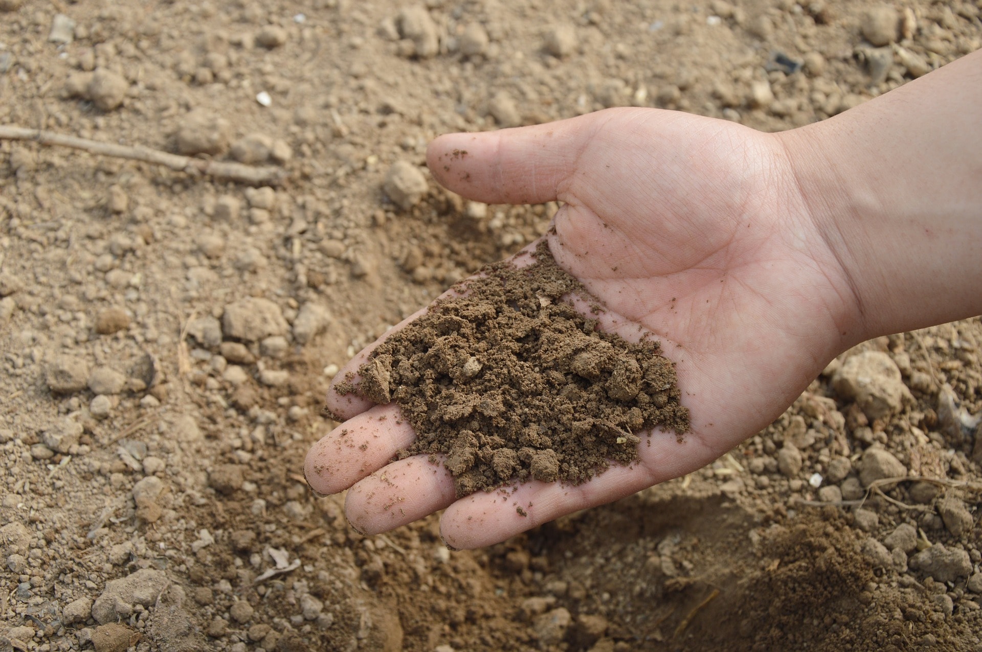 Fighting food pathogens with the help of a soil bacterium
