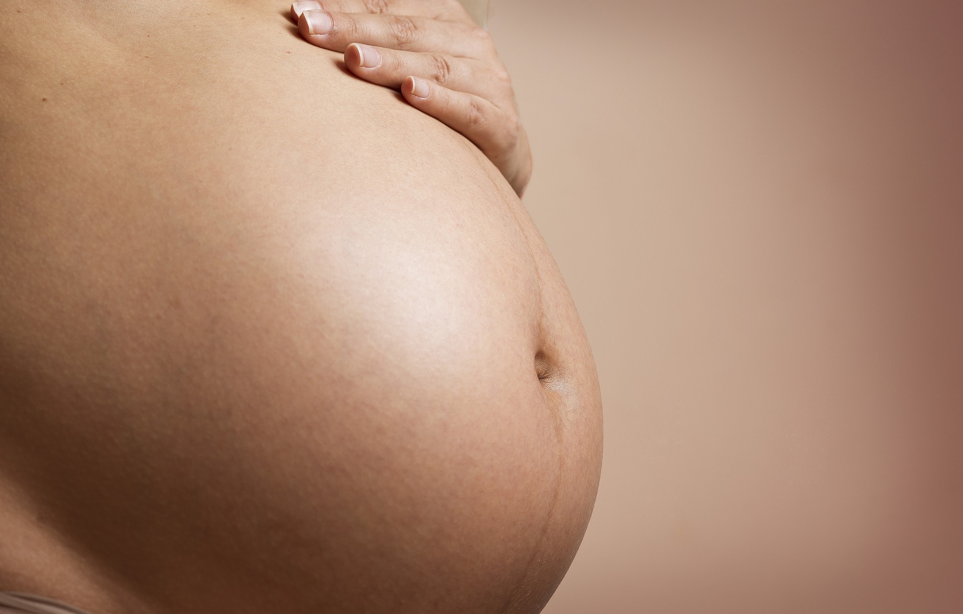 Gut bacteria orchestrate the transmission of overweight from mother to babe