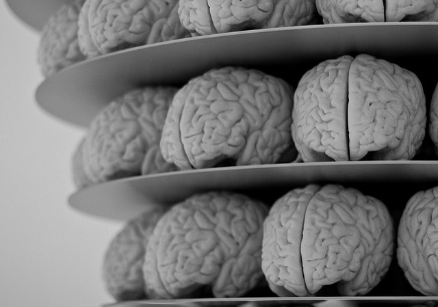 Pirater le métabolisme du tryptophane permettrait de contrer la neurodégénération