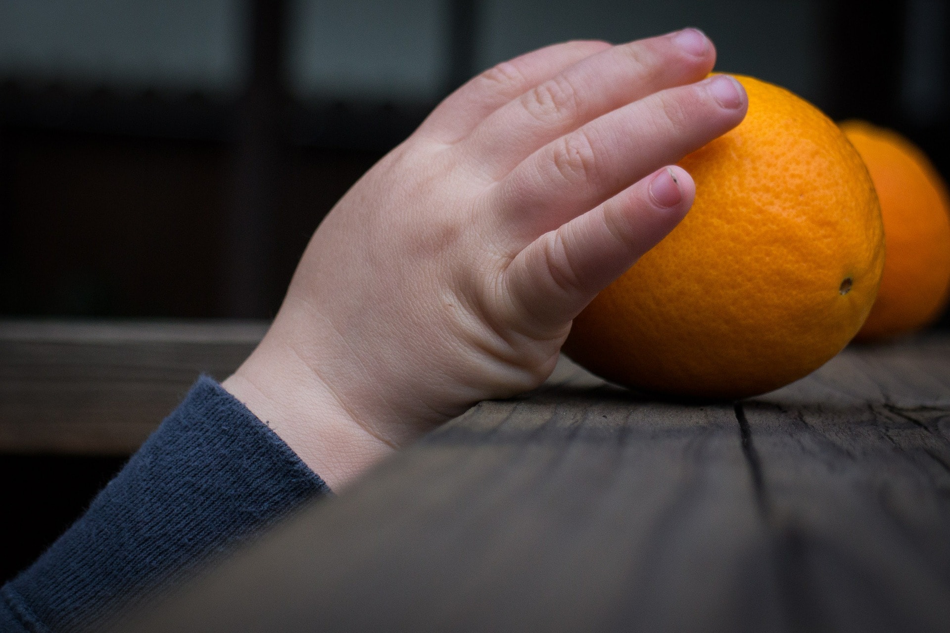 Haptics and Sight in Action: a new way to grasp the human brain
