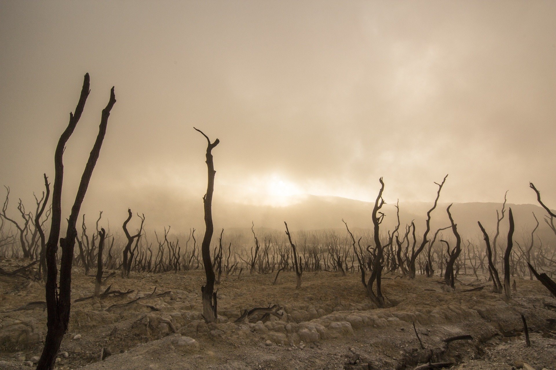Hate heatwaves? Droughts? How about both at the same time?