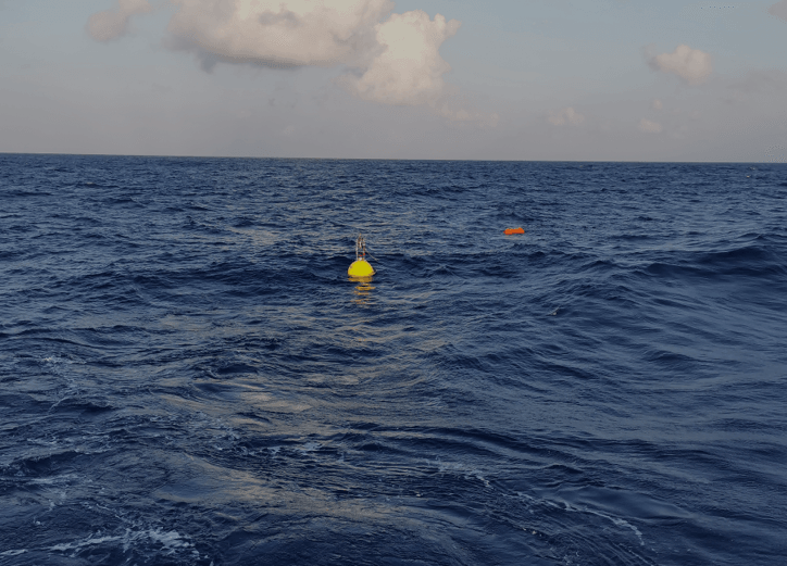 Hot currents: Global ocean circulation speeds up