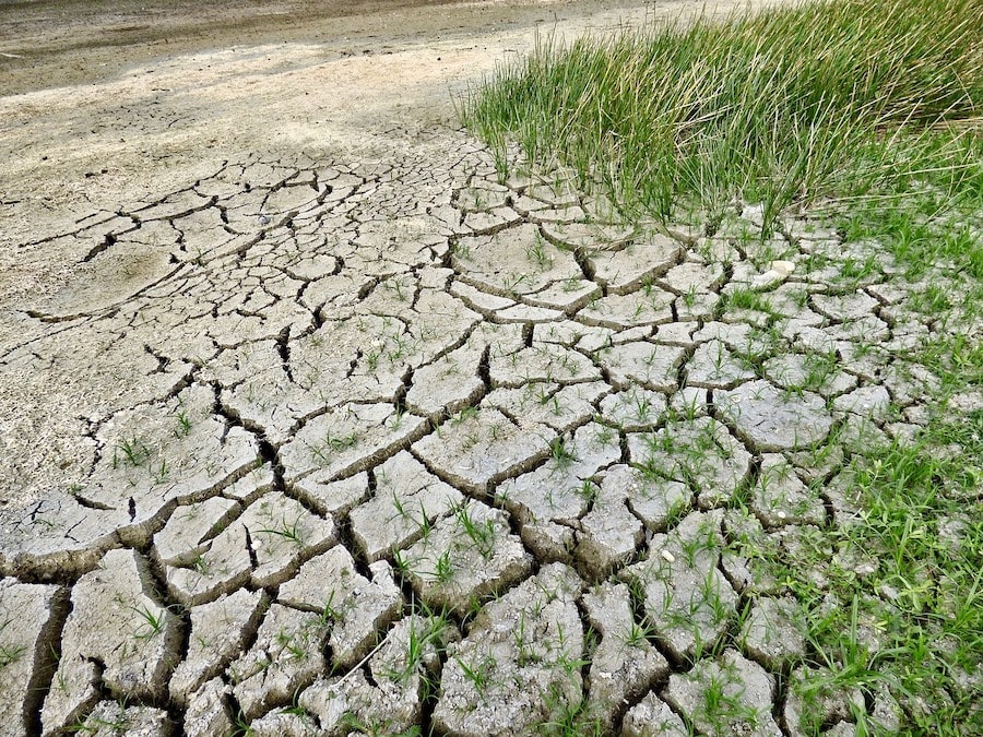 How many factors of global change affect soils