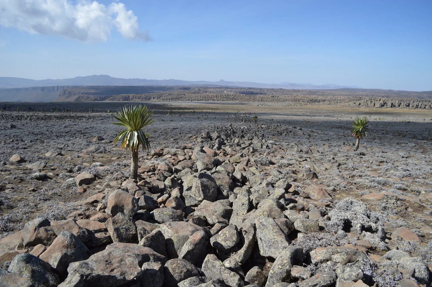 Living the high life: the early arrival of hunter-gatherers in the glaciated Ethiopian Highlands