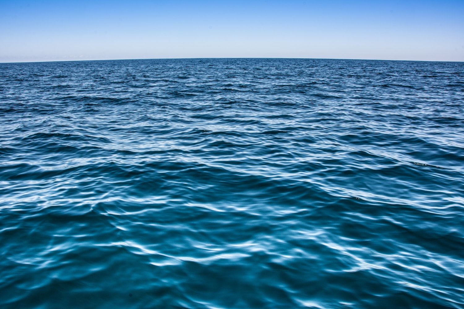 Microscopic Body-Snatchers Infest Our Oceans