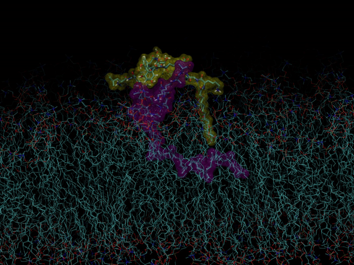 New and Improved! A supercharged antibiotic to fight superbugs