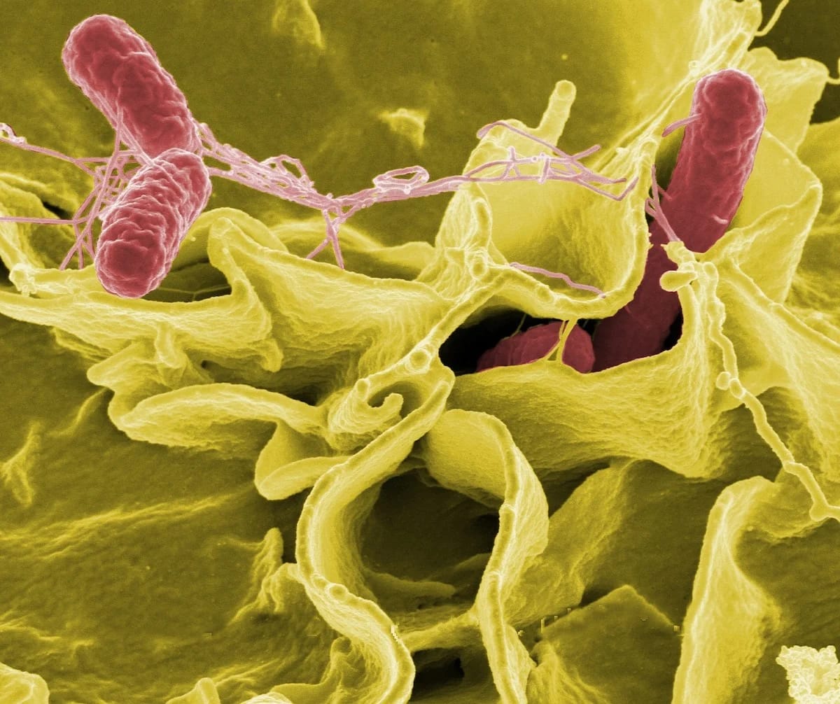 Powering up the emergency response to infections