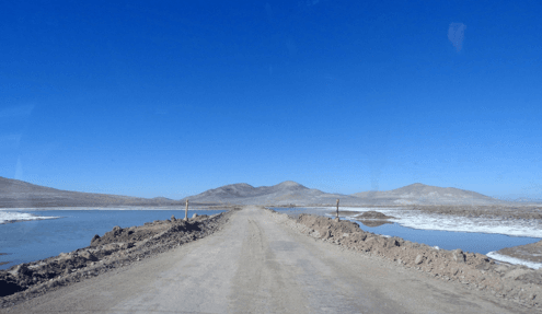 Rare rains bring death to microbes of the Mars-Like Atacama Desert