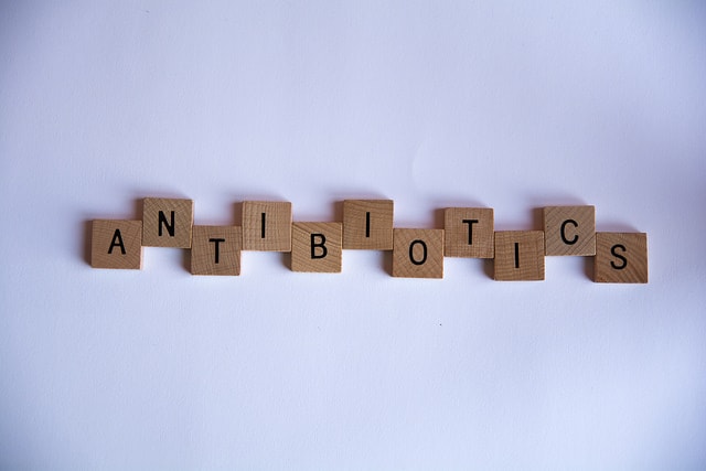 Red in Tooth and Claw: another weapon against antibiotic resistance