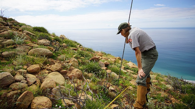 Resetting nature’s clock: shifting seasons and species relationships