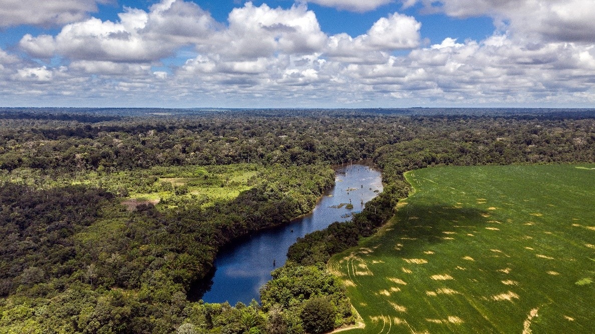 Rethinking priorities in conservation planning to tackle the biodiversity crisis