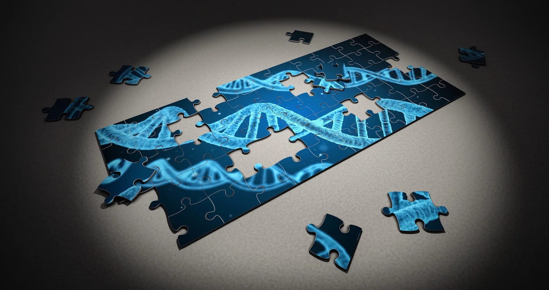 The inanimate building-blocks for a living synthetic cell