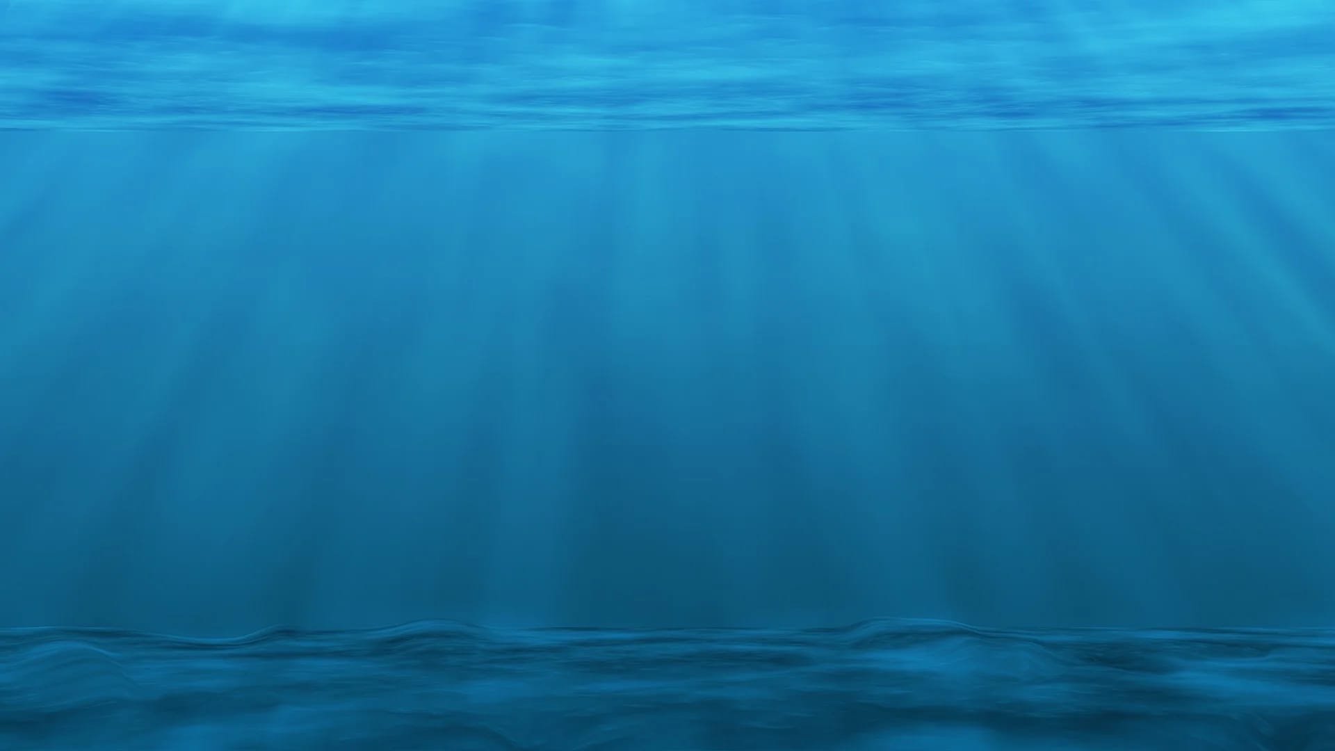 The migration of marine plankton during the industrial era