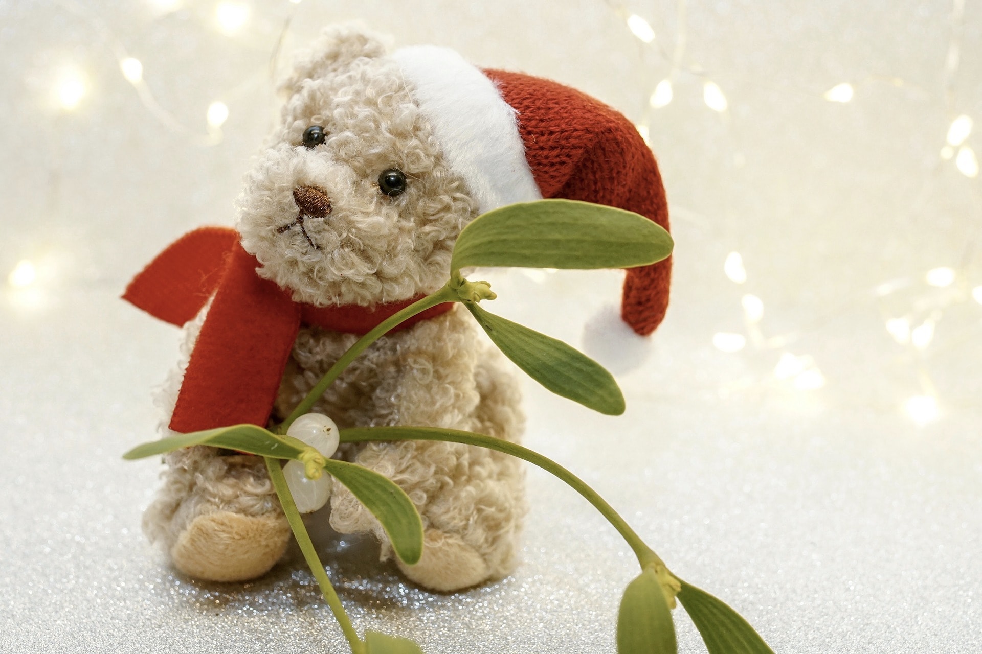 The mystery of mistletoe mitochondria