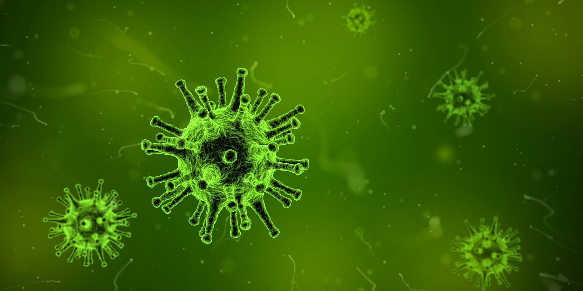 Virus infection: may the (binding) force be with you?
