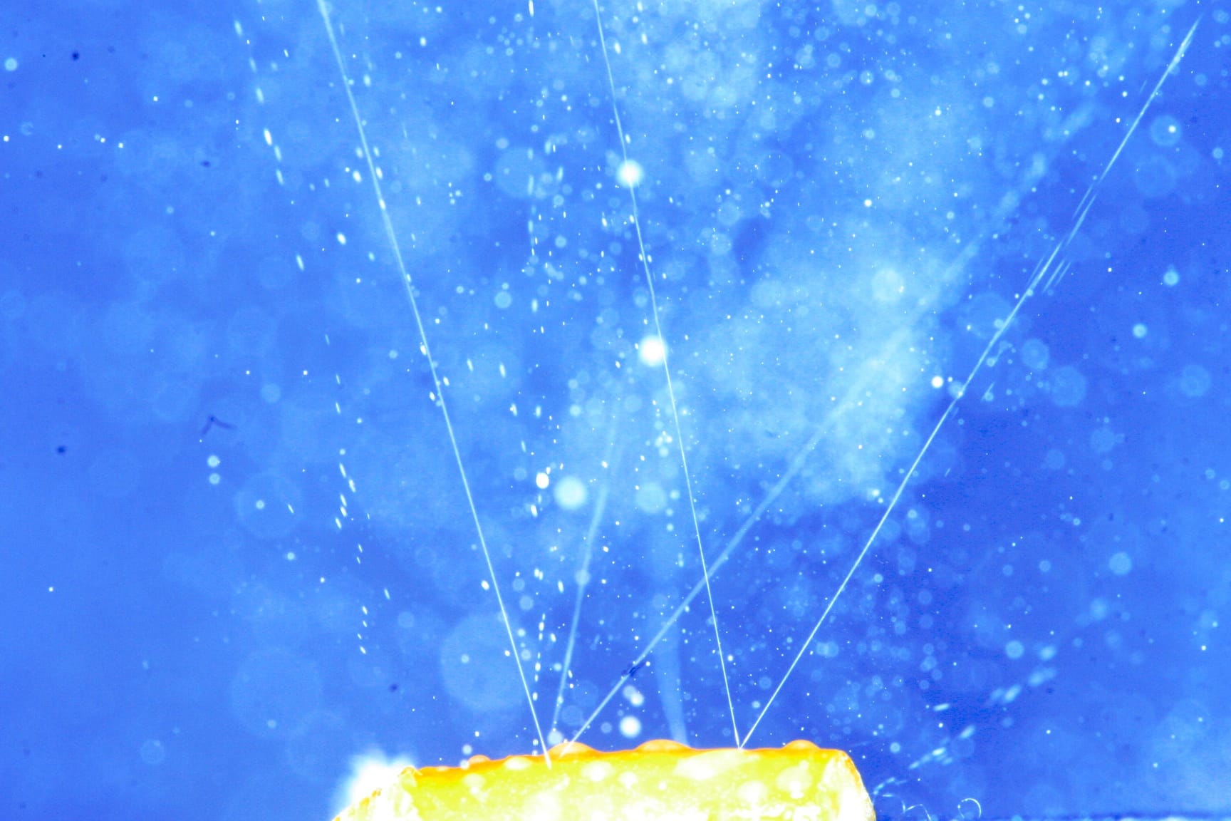 What can citrus teach us about fluid dispersal?