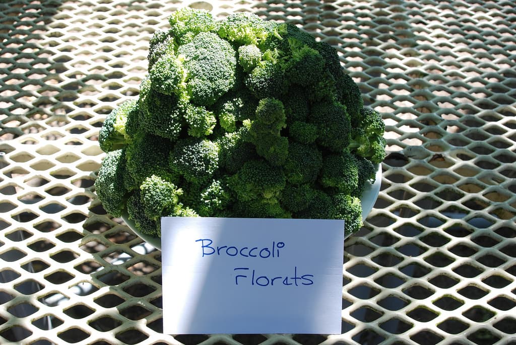 A new paradigm for metabolic health: reduced intake of dietary branched-chain amino acids