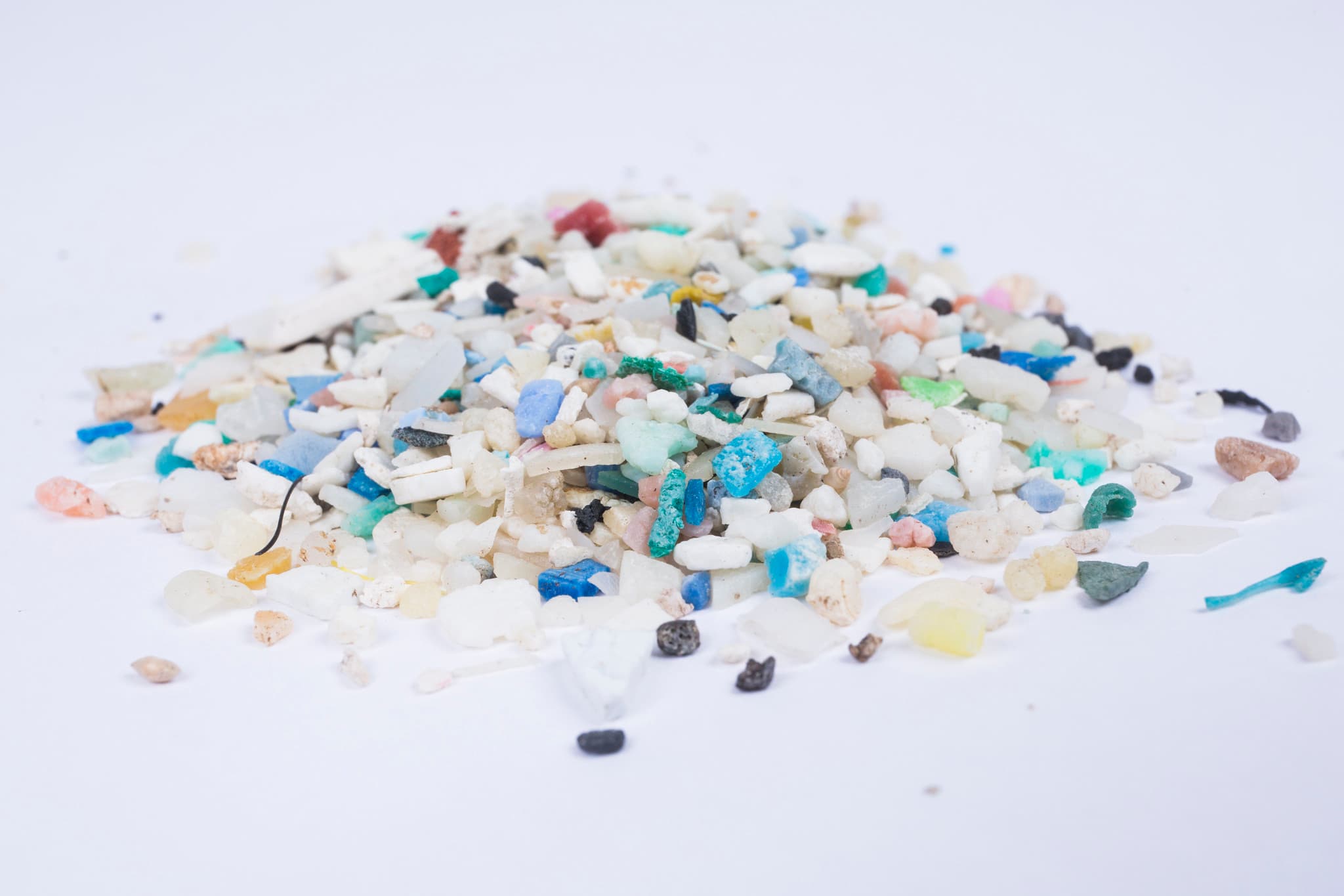 All guts, no glory: ingested microplastics in marine mammals