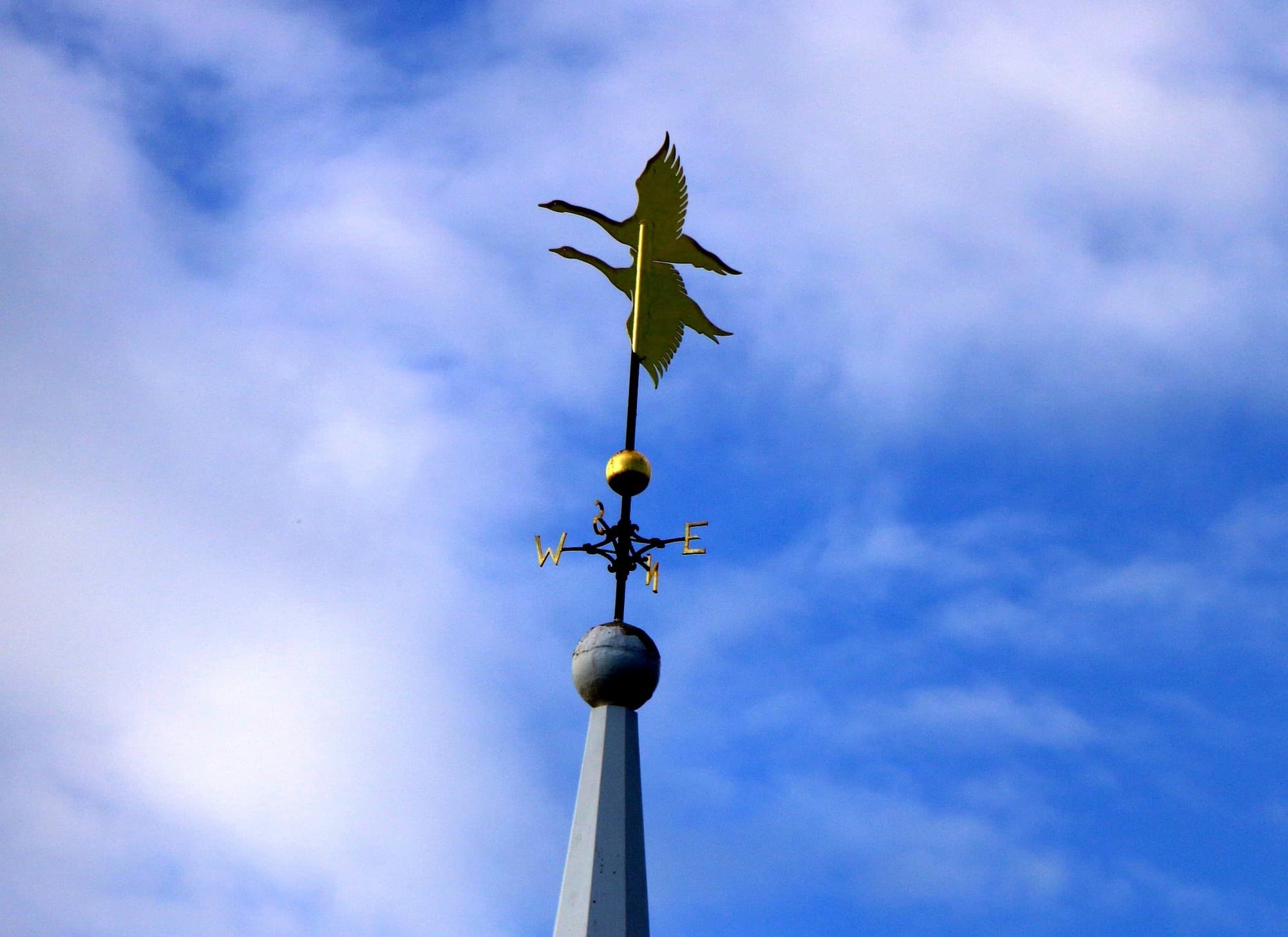 Animal magnetism: how magnetic fields can influence chemistry in living cells