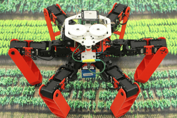 AntBot is able to go home like desert ants