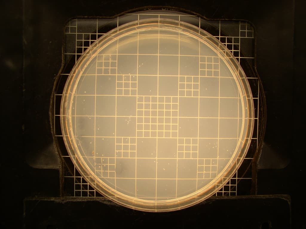 Discovery of high-order drug synergies – from impossible to dirt cheap