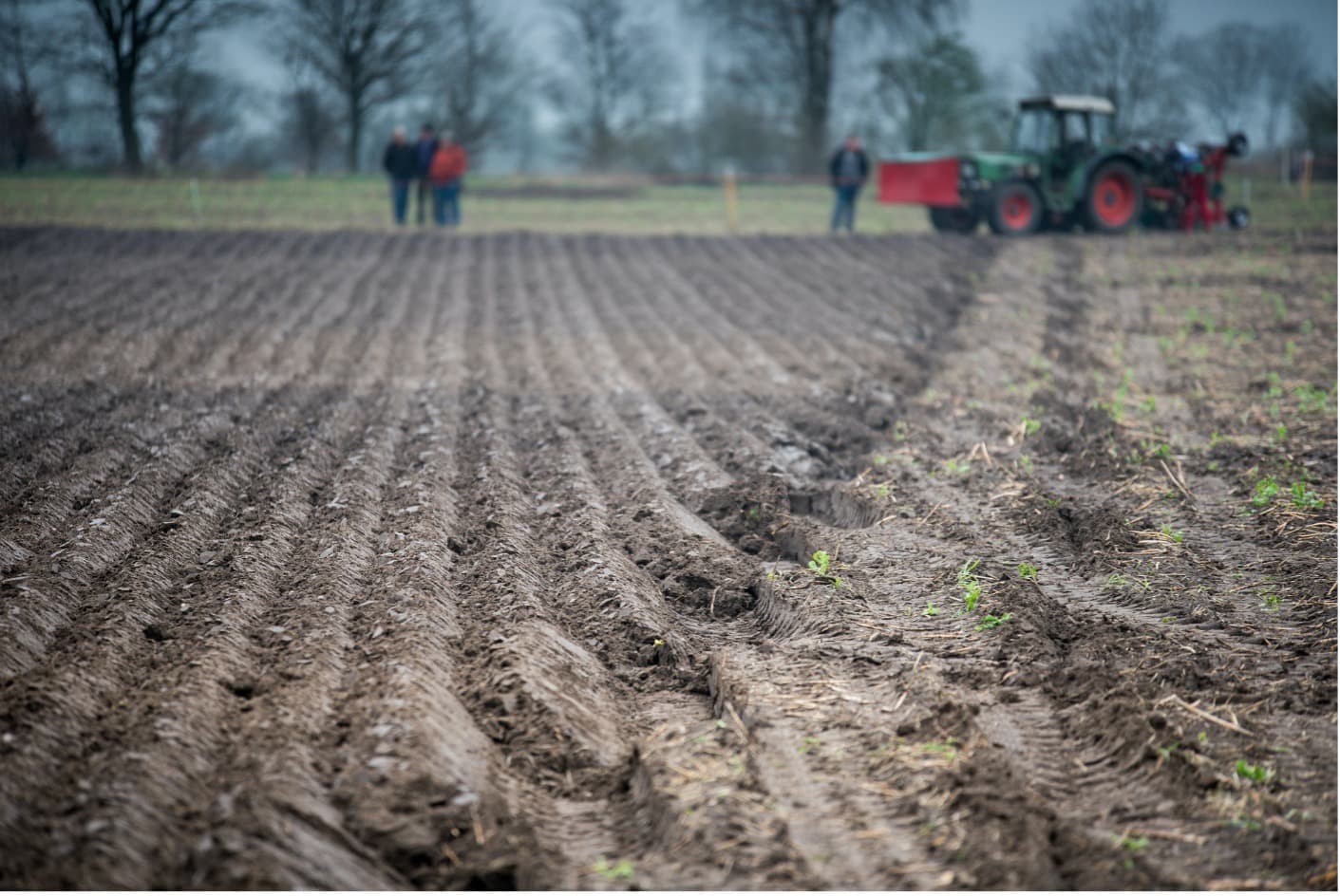 How roots help us fight against hard soils