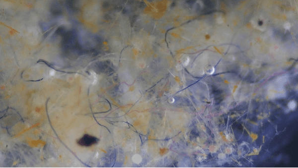 Microfibers in the ocean: are they all made of plastic?