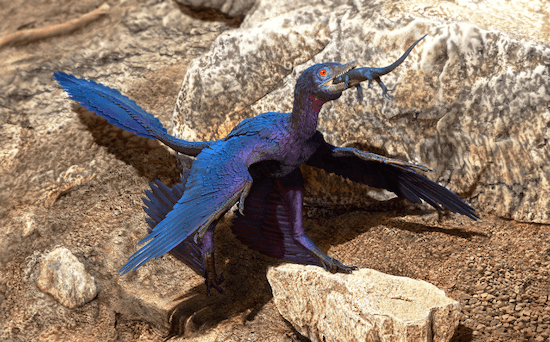 Microraptor and Indrasaurus: food for thought