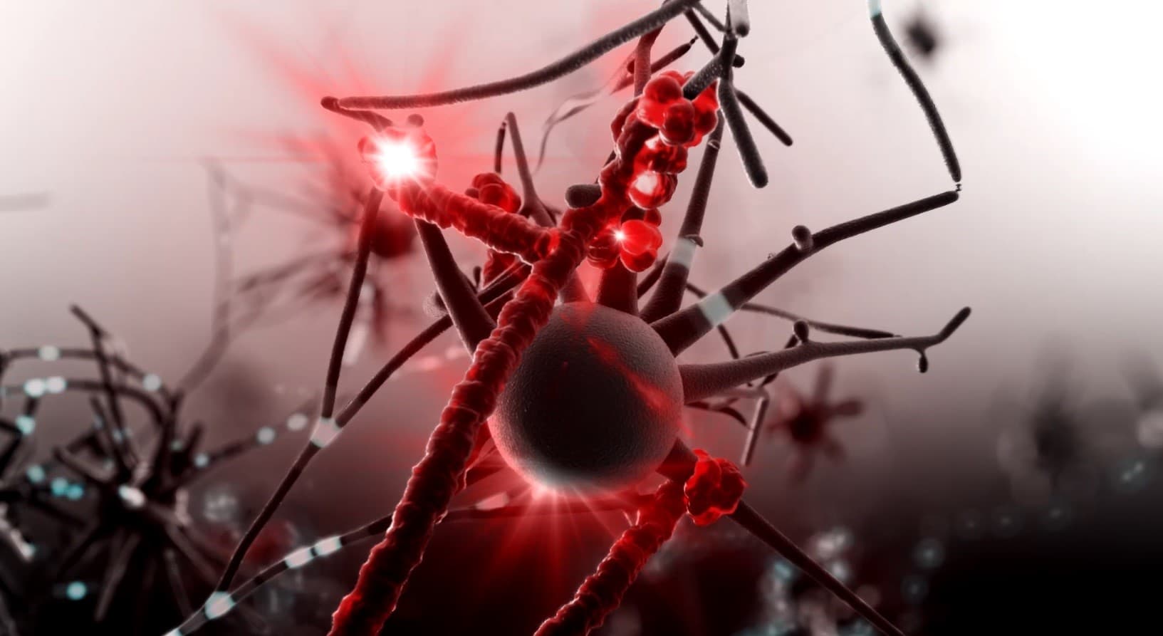 Our blood may be making us smarter