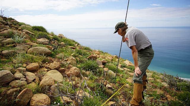 Resetting nature’s clock: shifting seasons and species relationships