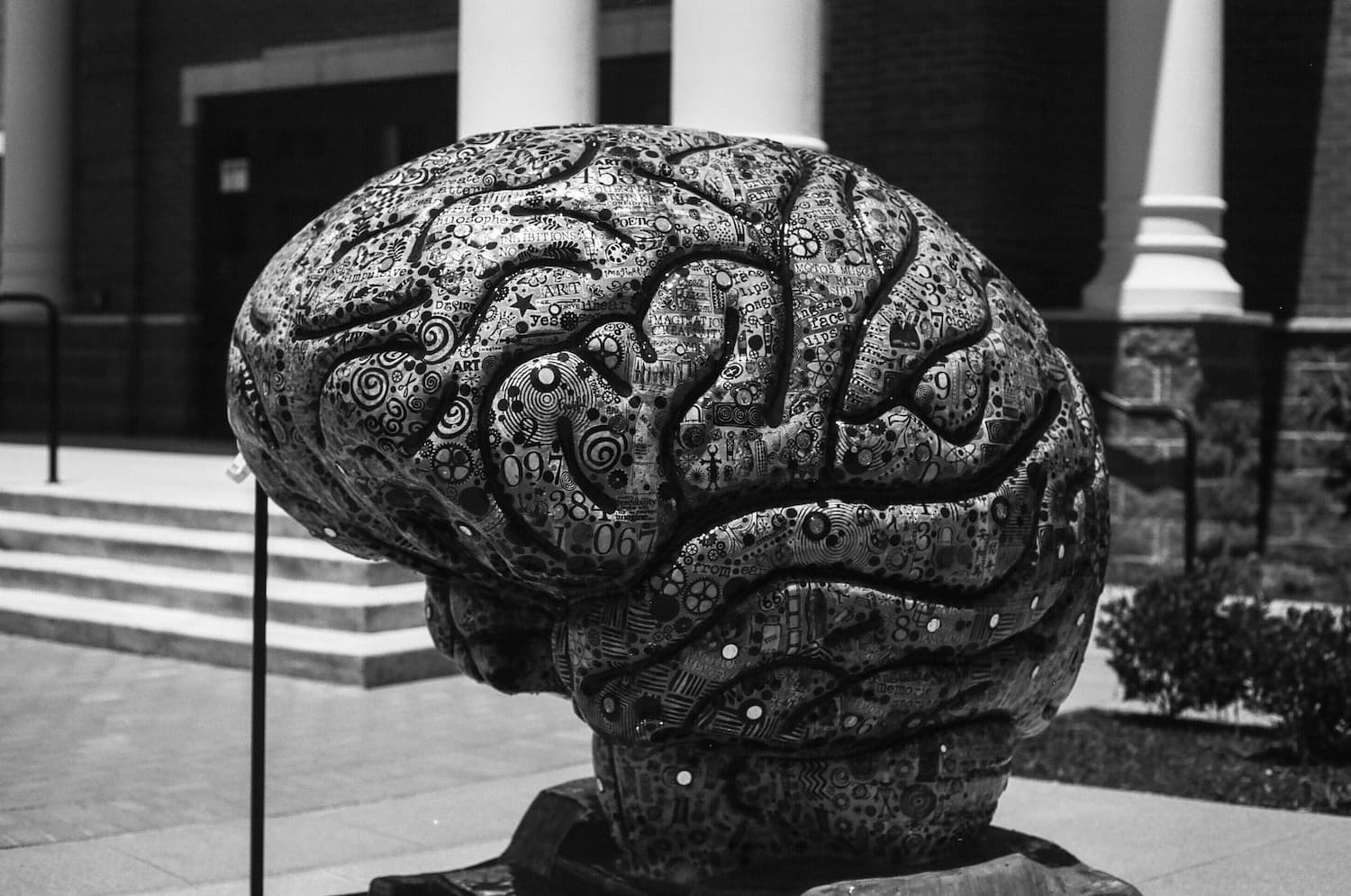 The Lego bricks of the brain