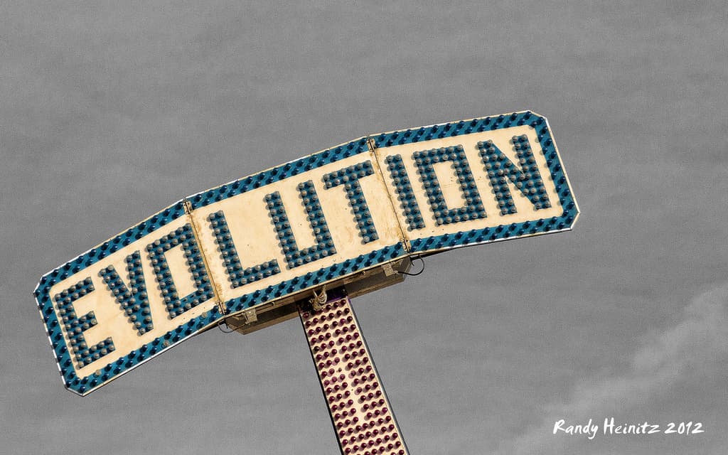 The sudden sprints of evolution