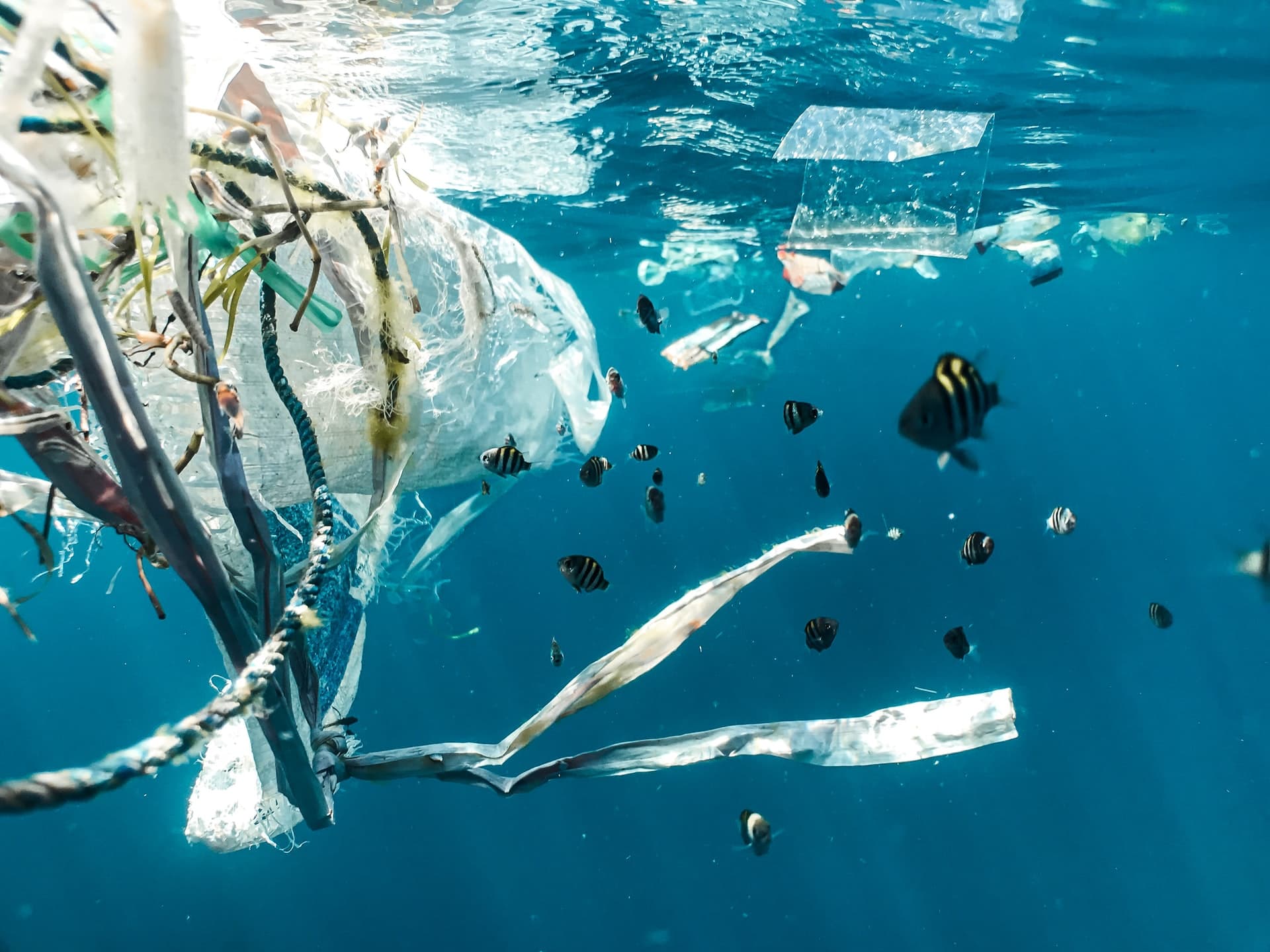 Using satellites to look for floating plastics in the ocean